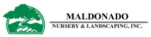 Maldonado logo BC